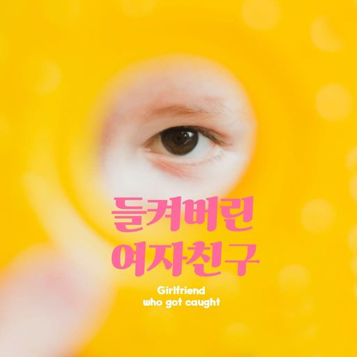 들켜버린 여자친구 poster