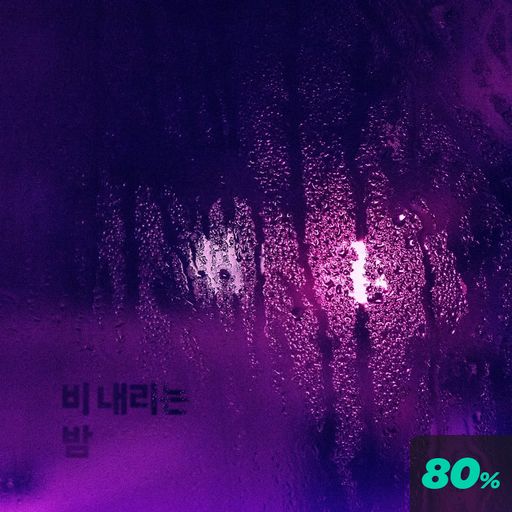 비 내리는 밤 poster
