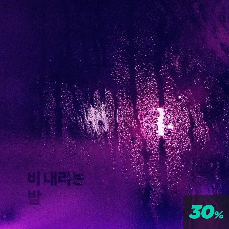 비 내리는 밤