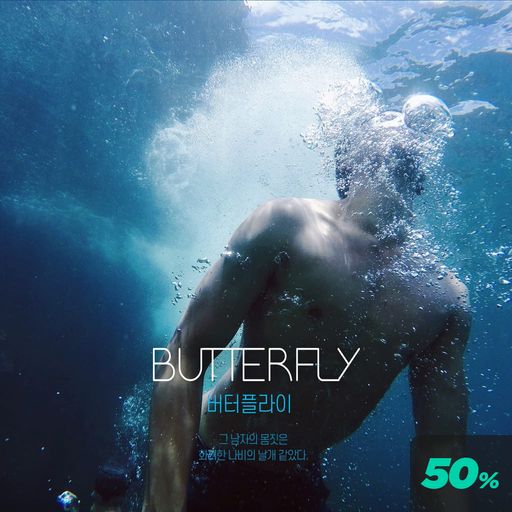 버터플라이 poster