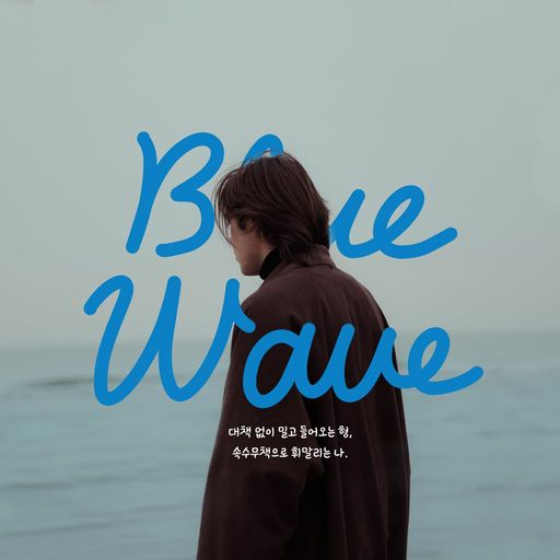 Blue Wave poster