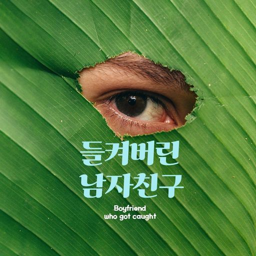 들켜버린 남자친구 poster
