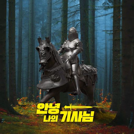 안녕, 나의 기사님 poster