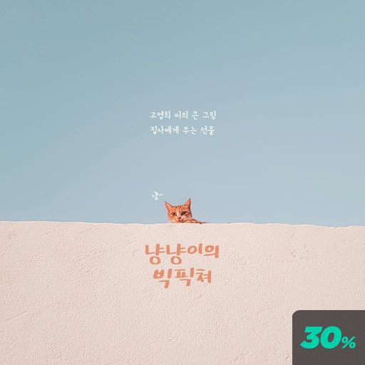 냥냥이의 빅픽쳐