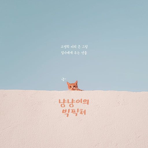 냥냥이의 빅픽쳐