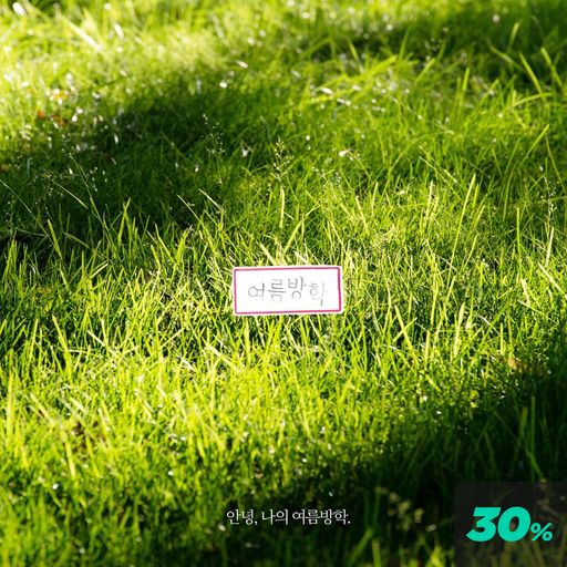 여름 방학