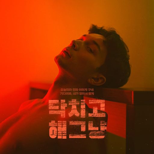 닥치고 해, 그냥 poster