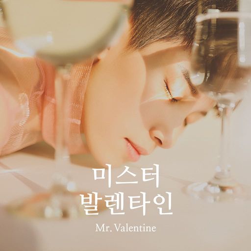 미스터 발렌타인 poster