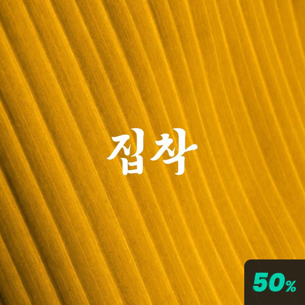 집착광공 poster