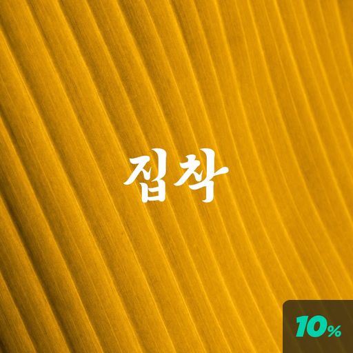집착광공 poster