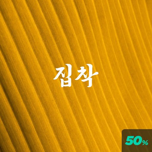 집착광공 poster
