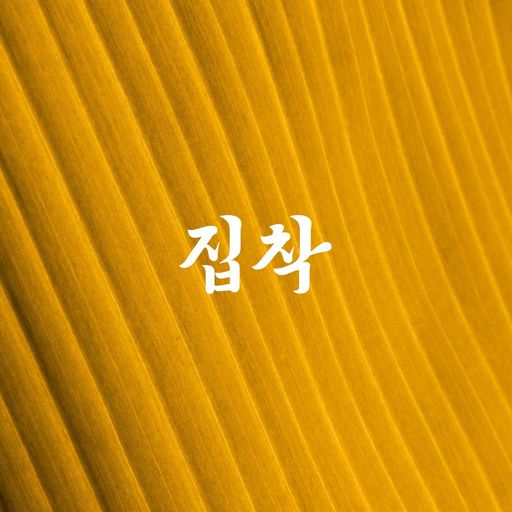 집착광공 poster