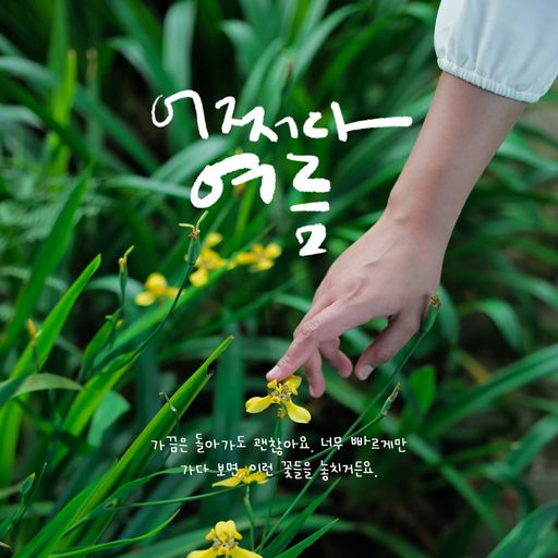 어쩌다 여름 poster