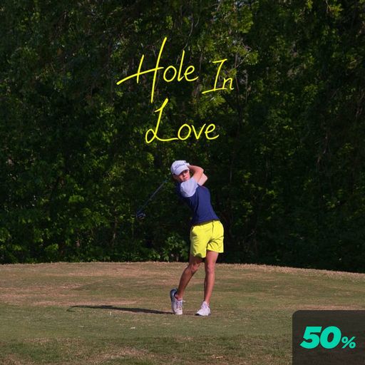 홀 인 러브 poster