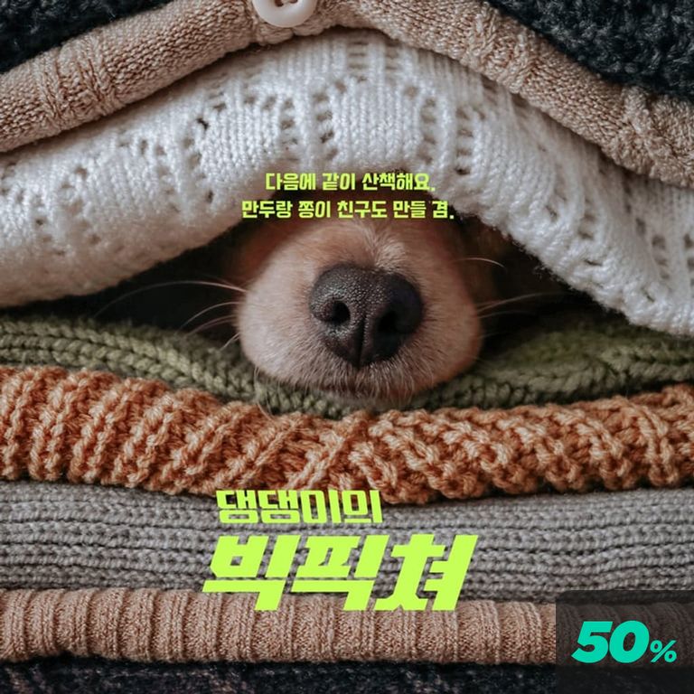 댕댕이의 빅픽쳐