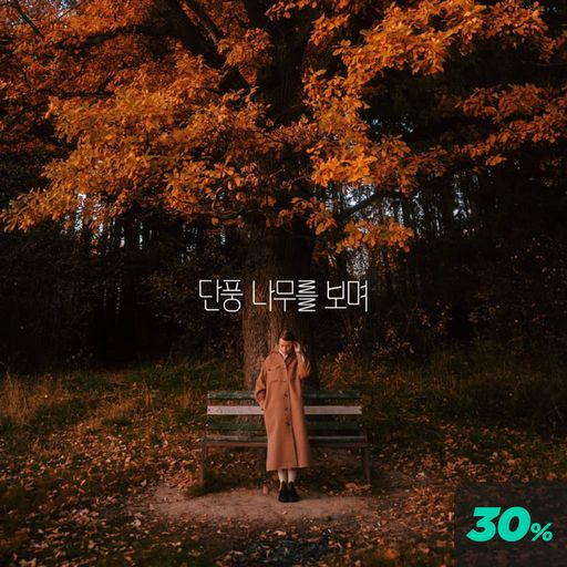단풍 나무를 보며 poster