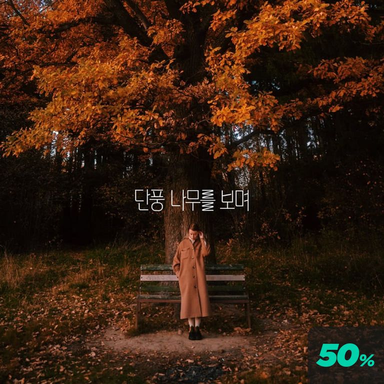 단풍 나무를 보며 poster