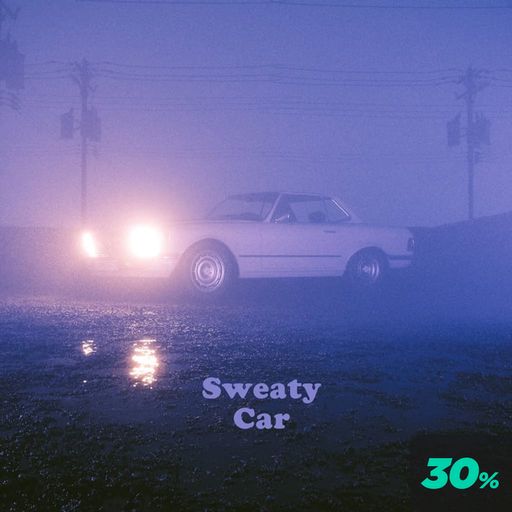 Sweaty Car poster