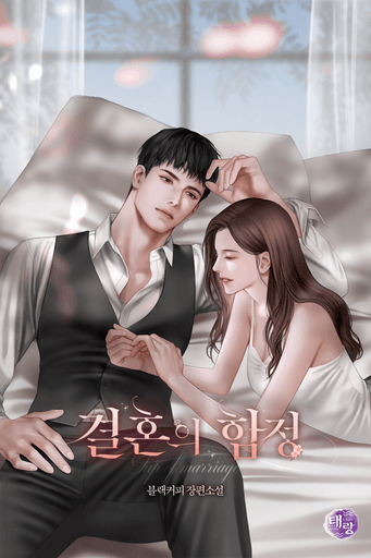 결혼의 함정 poster
