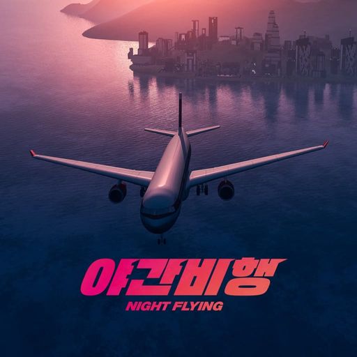 야간 비행