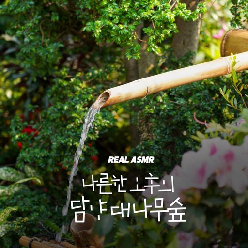 나른한 오후의 담양 대나무숲 poster