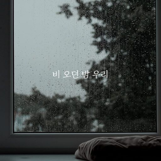 비 오던 밤 우리 poster