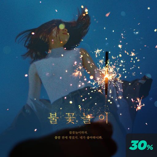 불꽃놀이 poster