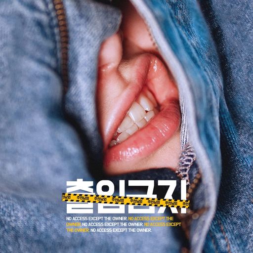 주인님 외 출입금지 poster