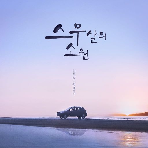 스무살의 소원 poster