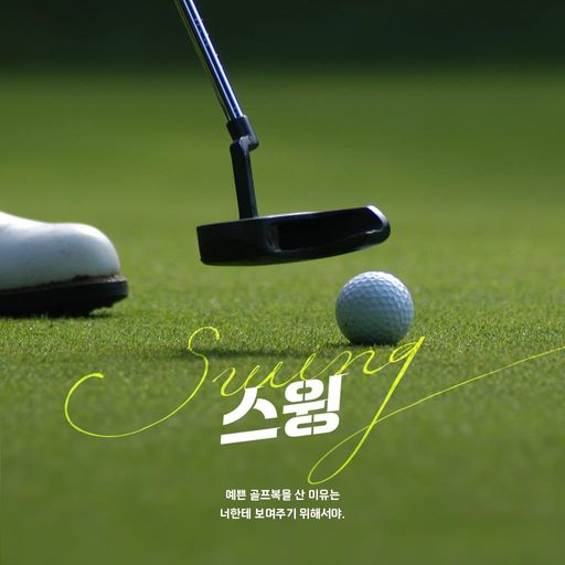 스윙 poster