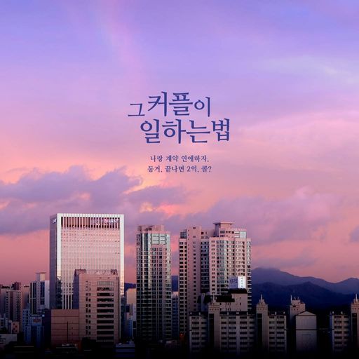 그 커플이 일하는 법 poster