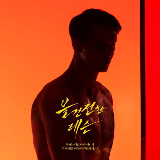 불건전한 레슨 poster