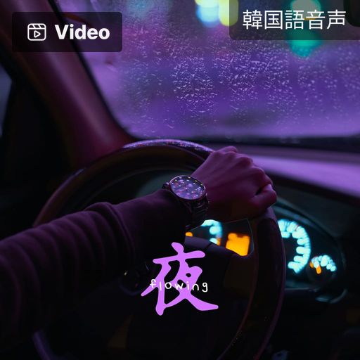 感じて、流れ行く夜 poster