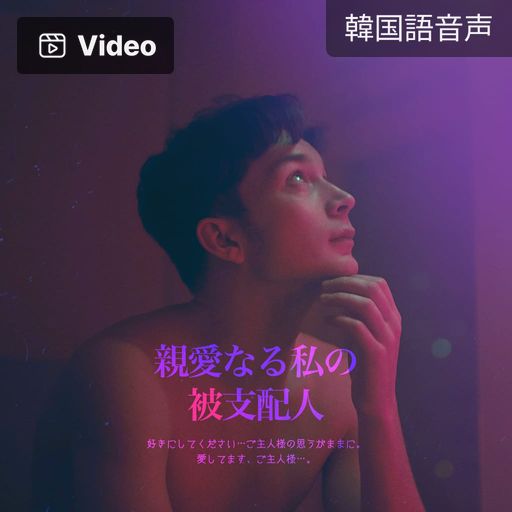 親愛なる私の被支配人 poster