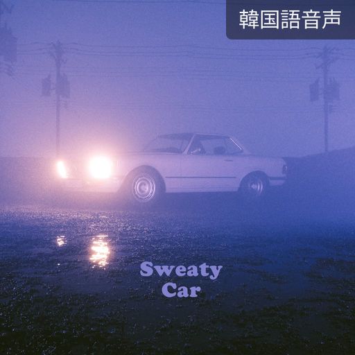 Sweaty Car poster