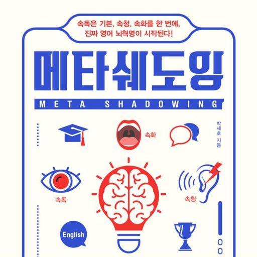 메타쉐도잉