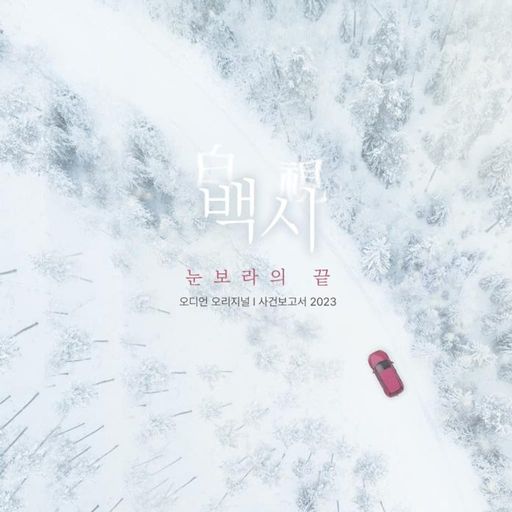 백시(白視) –눈보라의 끝- (사건보고서 2023)