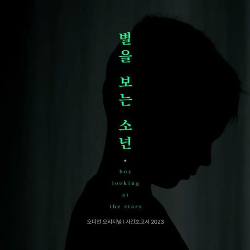 별을 보는 소년 (사건보고서 2023)