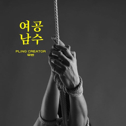 여공남수 poster