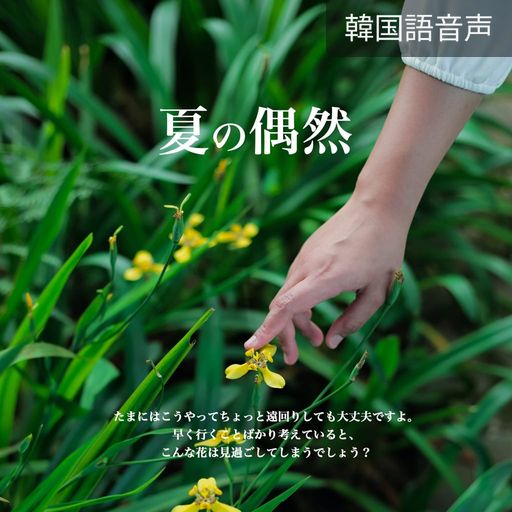 夏の偶然 poster