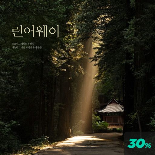런어웨이 poster