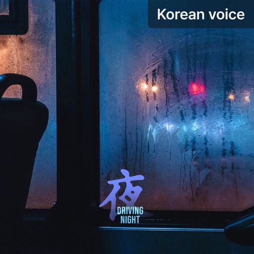 Driving Night poster