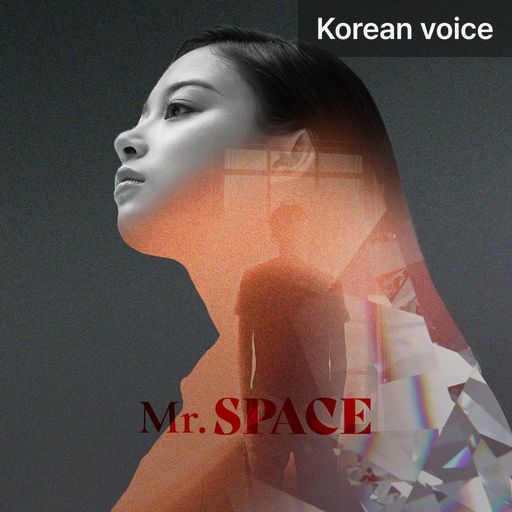 Mr. Space poster