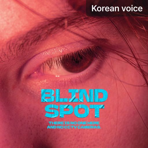 Blind Spot poster
