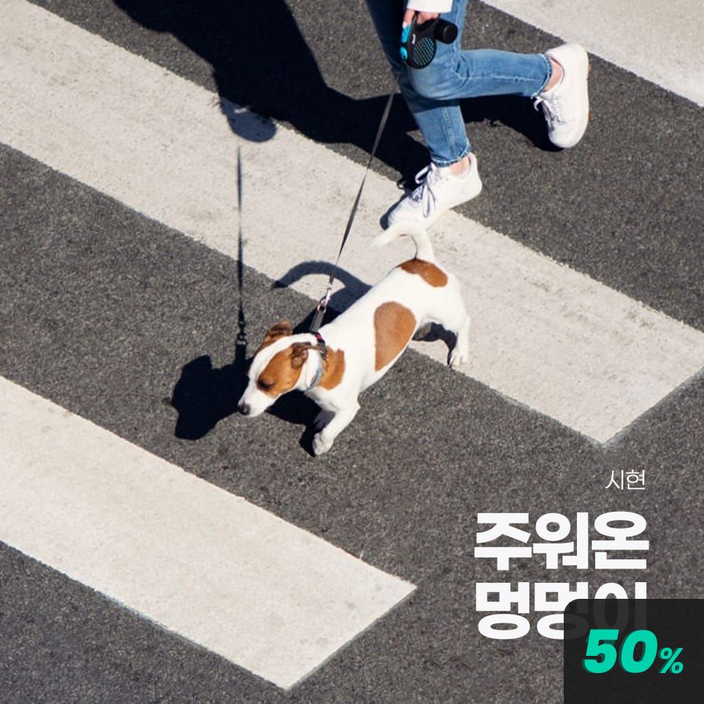 주워온 멍멍이 channel