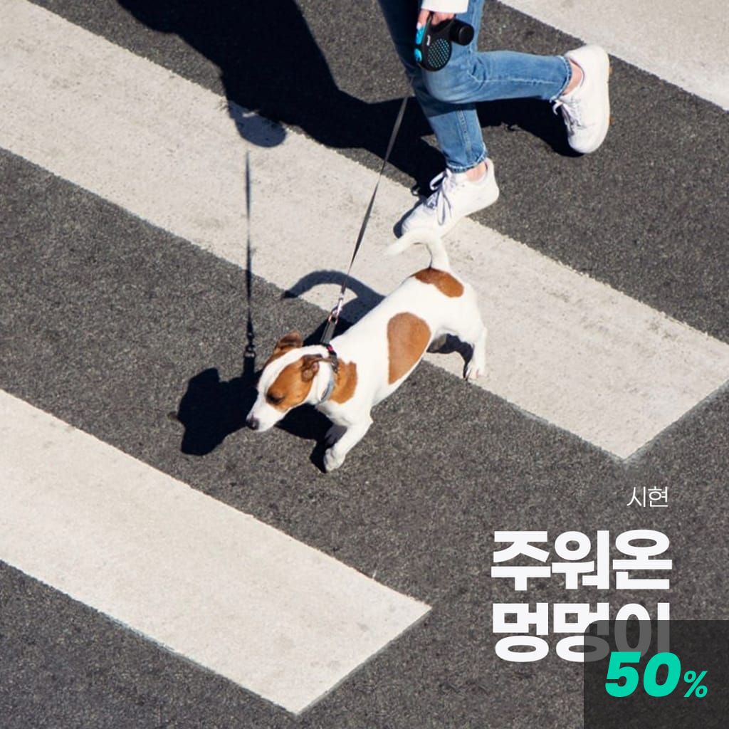 주워온 멍멍이 channel