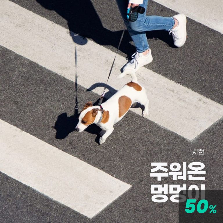 주워온 멍멍이 poster