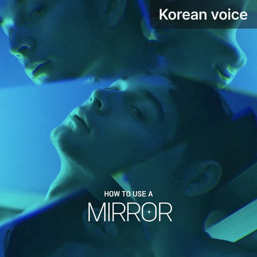 How to Use a Mirror poster