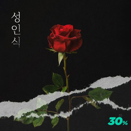 성인식 poster