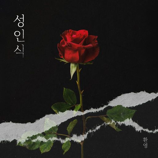 성인식 poster